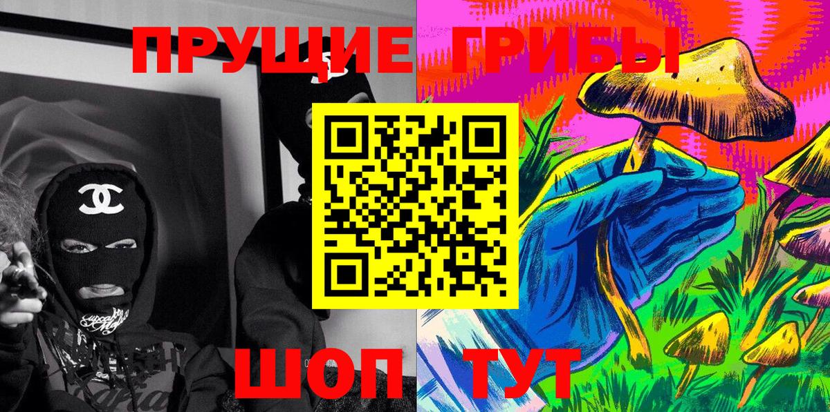 Псилоцибиновые грибы Psilocybe Красноармейск